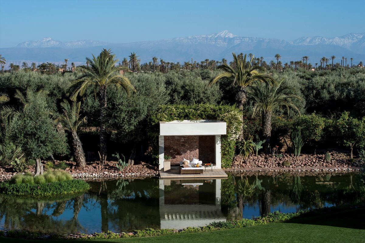 house for sale in Palmeraie, Marrakech RSI012372360 Knight Frank