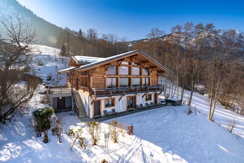 Picture of 8 bedroom chalet for sale.