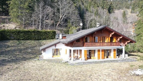 Picture of 5 bedroom chalet for sale.