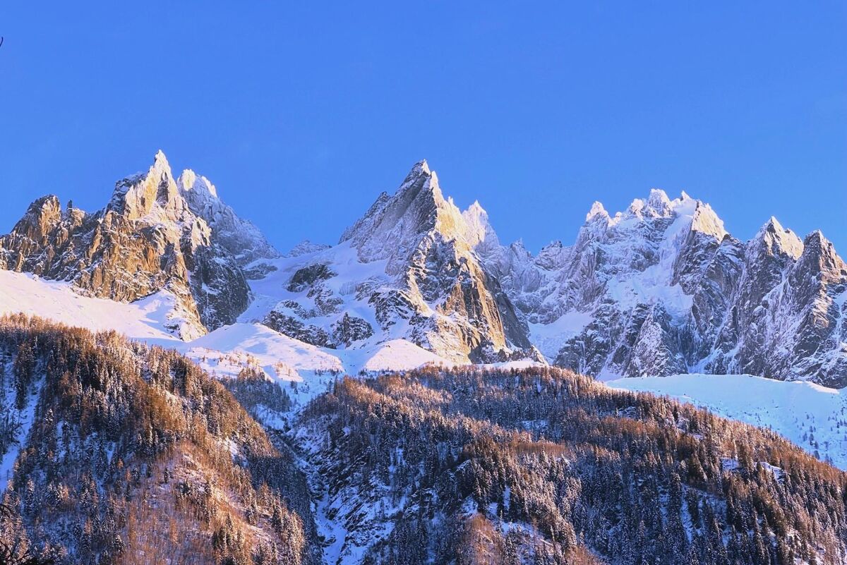 chalet for sale in Chamonix-Mont-Blanc, Haute-Savoie, Rhône-Alpes ...