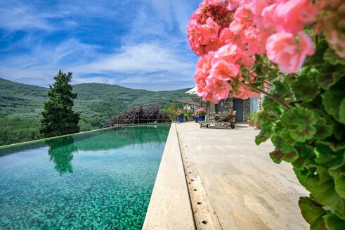 Picture of 8 bedroom villa for sale.