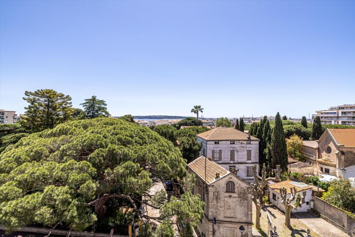 Picture of Cannes, Alpes-Maritimes, Provence-Alpes-Côte d`Azur