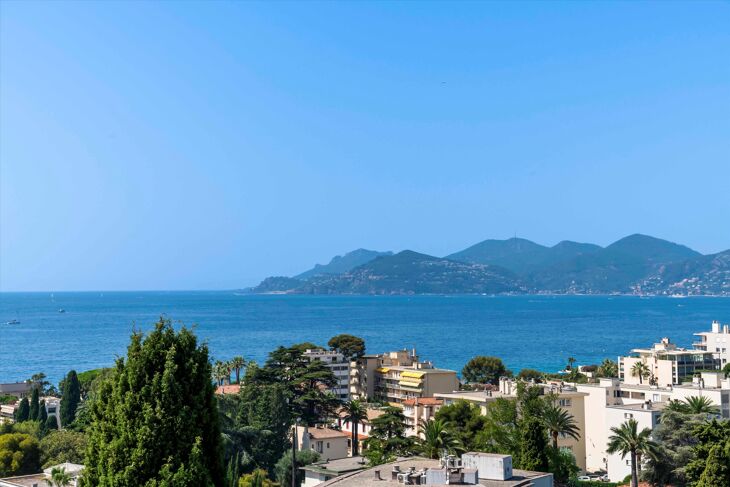 Picture of Cannes, Alpes-Maritimes, Provence-Alpes-Côte d`Azur