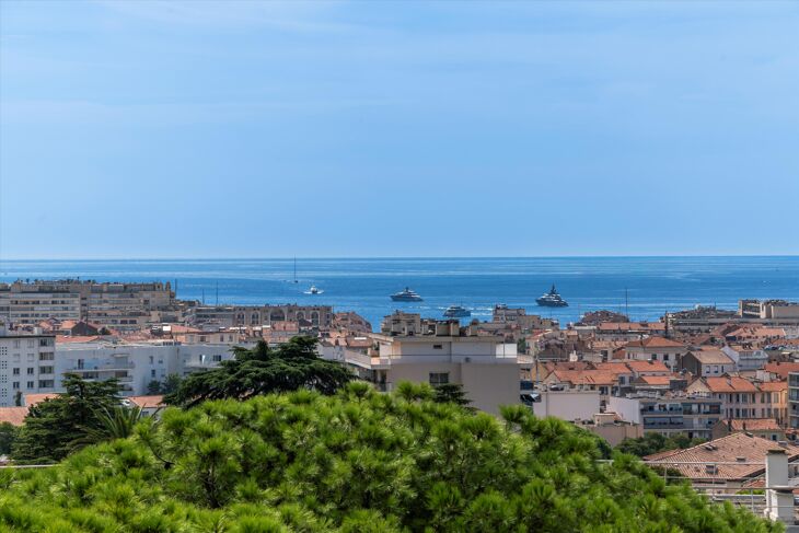 Picture of Cannes, Alpes-Maritimes, Provence-Alpes-Côte d`Azur