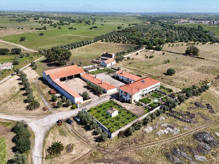 Picture of Reguengos de Monsaraz, Évora