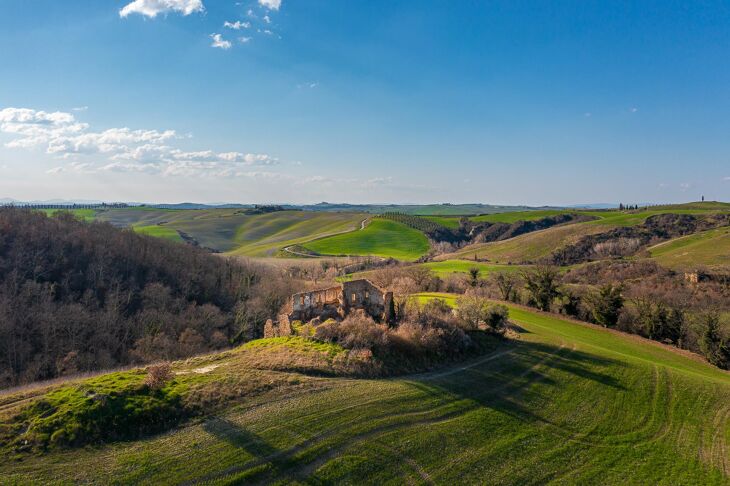 Picture of Montalcino, Siena, Tuscany
