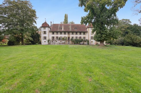 Picture of 7 bedroom chateau for sale.
