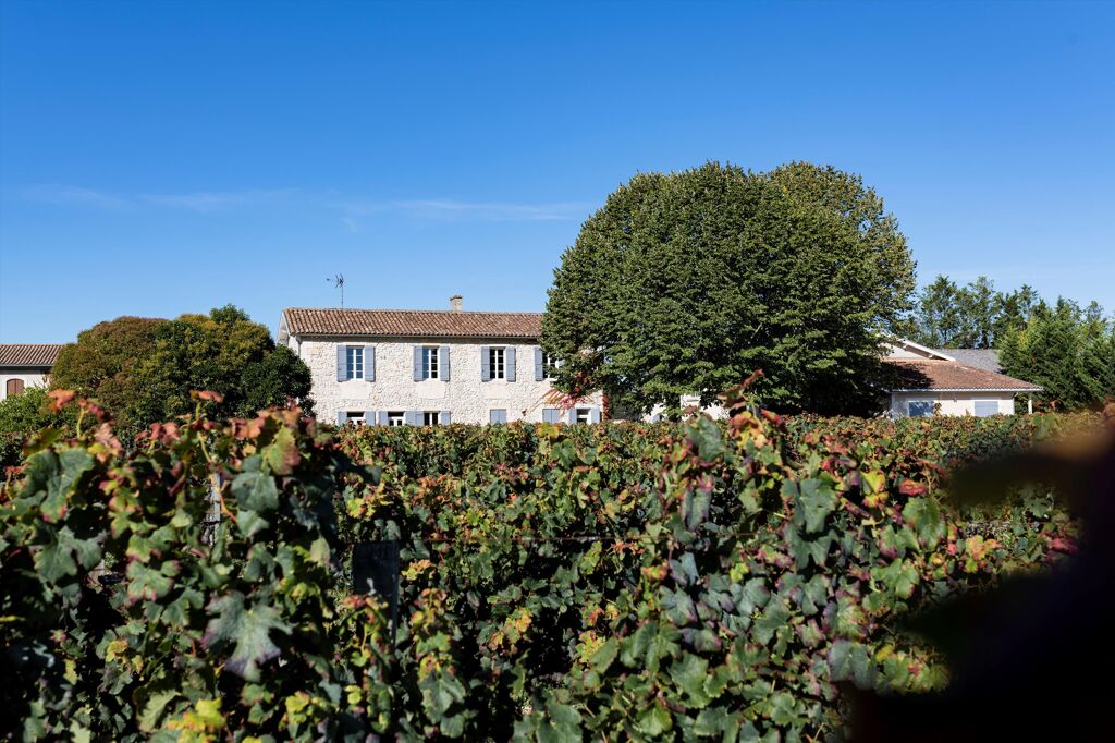 Image of Blaye – Côtes de Bordeaux, Nouvelle-Aquitaine