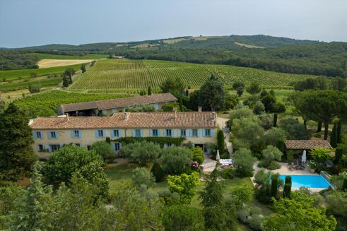 Picture of Vineyard for sale.