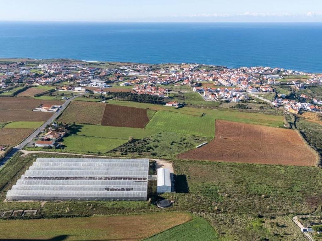 Image of Ericeira, Lisbon