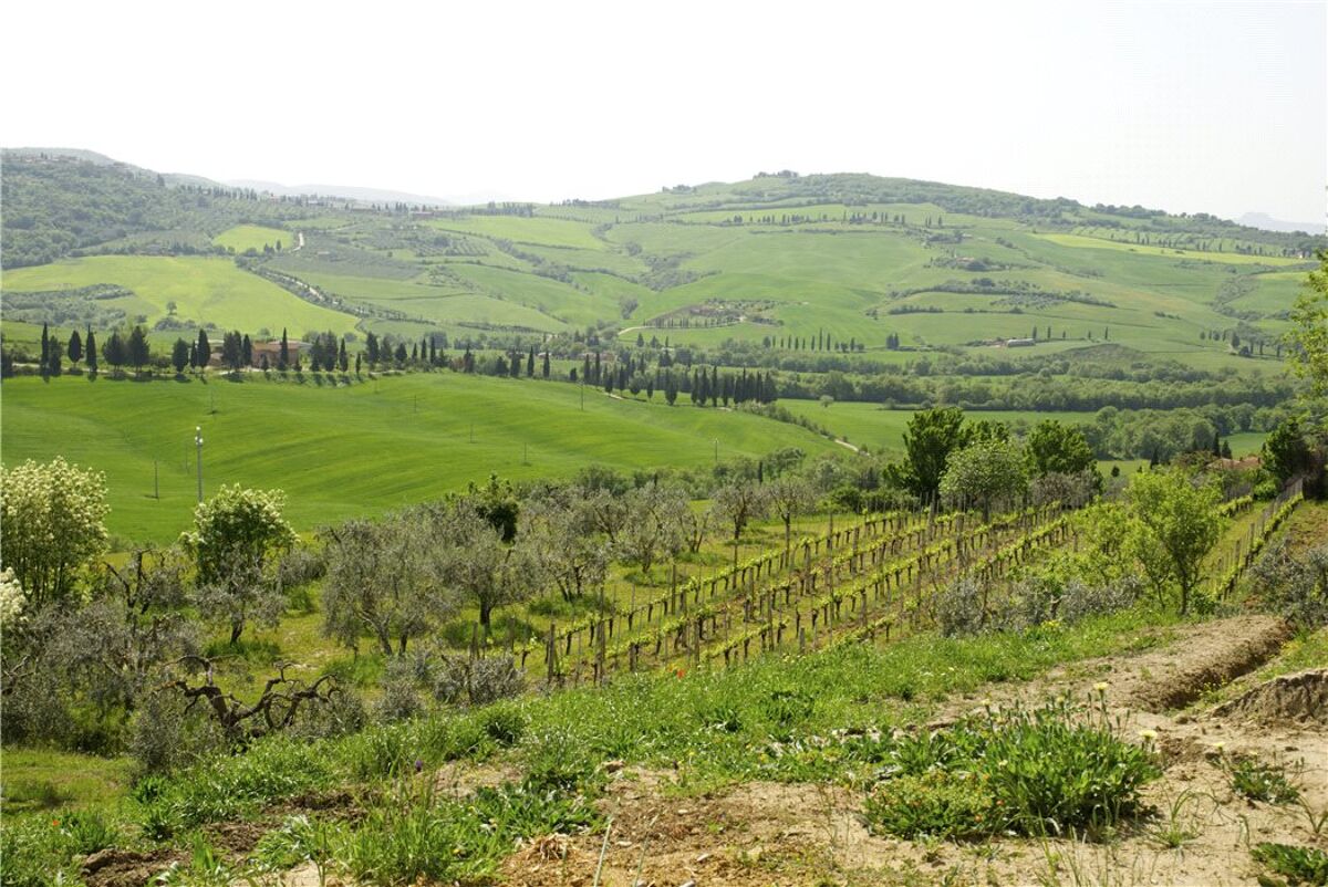 farmhouse for sale in Pienza, Siena, Tuscany RSI140449 Knight Frank