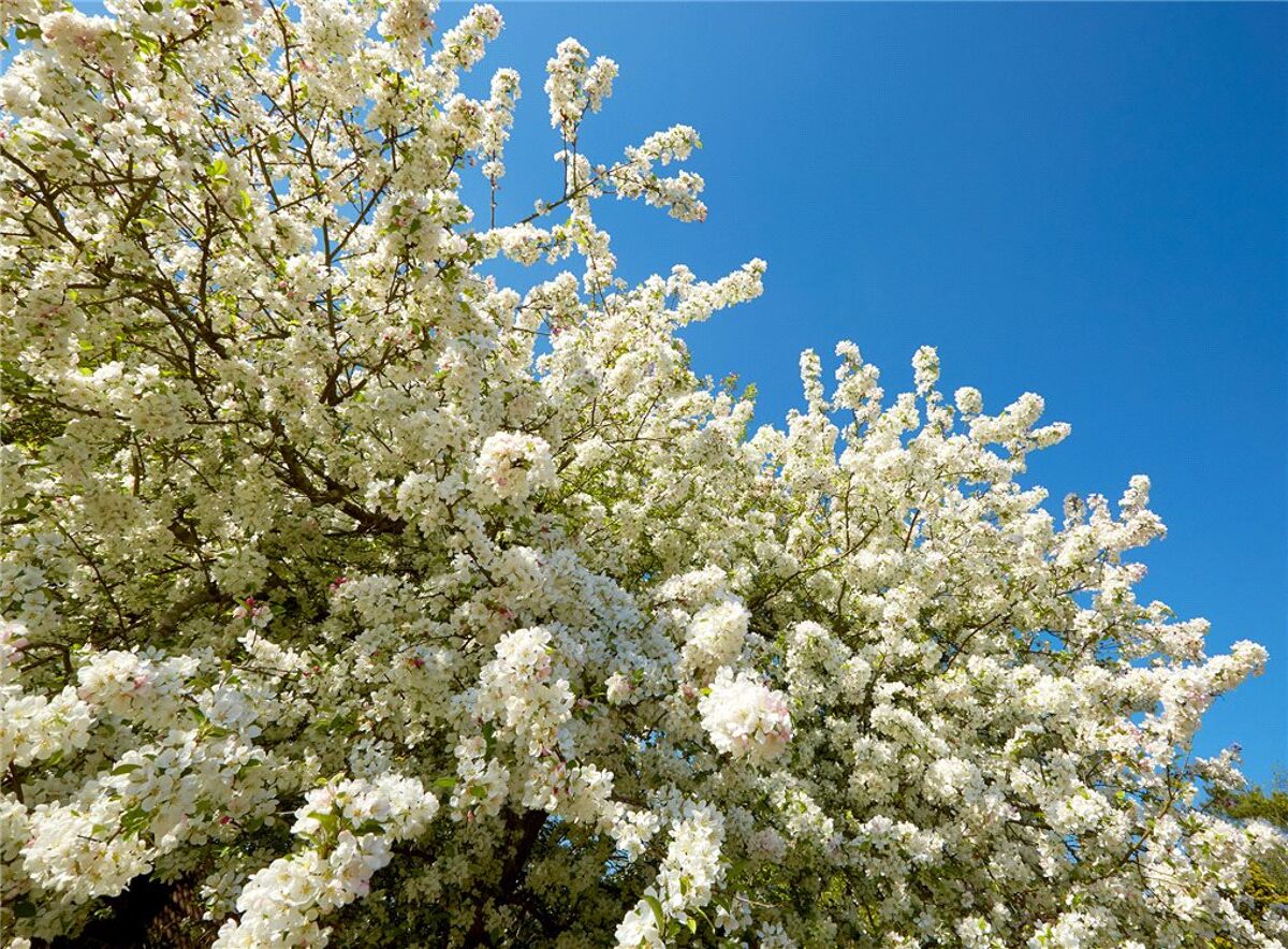 house for sale in High Street, Ramsden, Chipping Norton, OX7