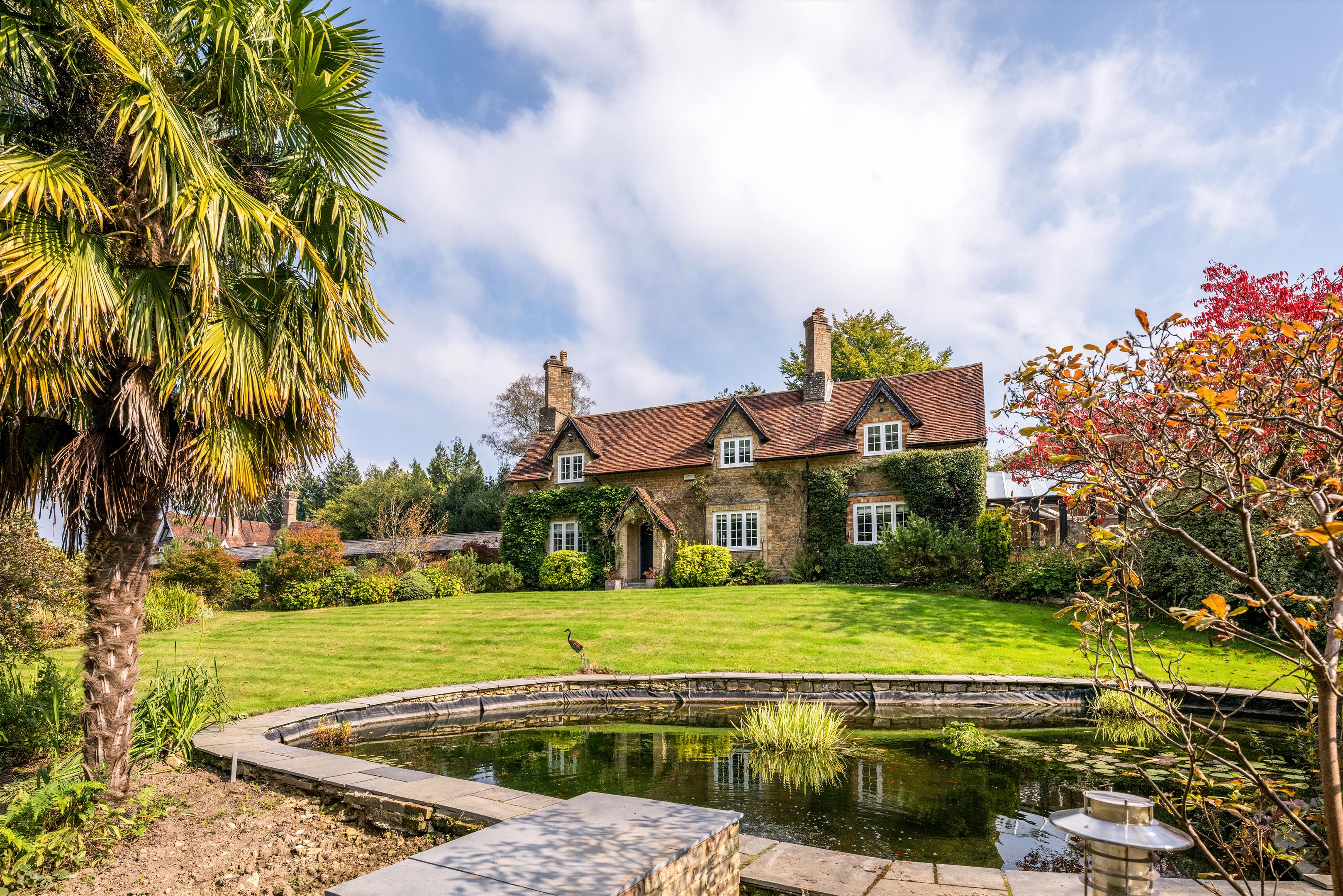 Click to view more details