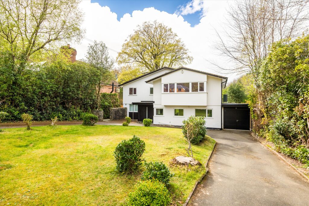 Image of Brattle Wood, Sevenoaks, Kent TN13