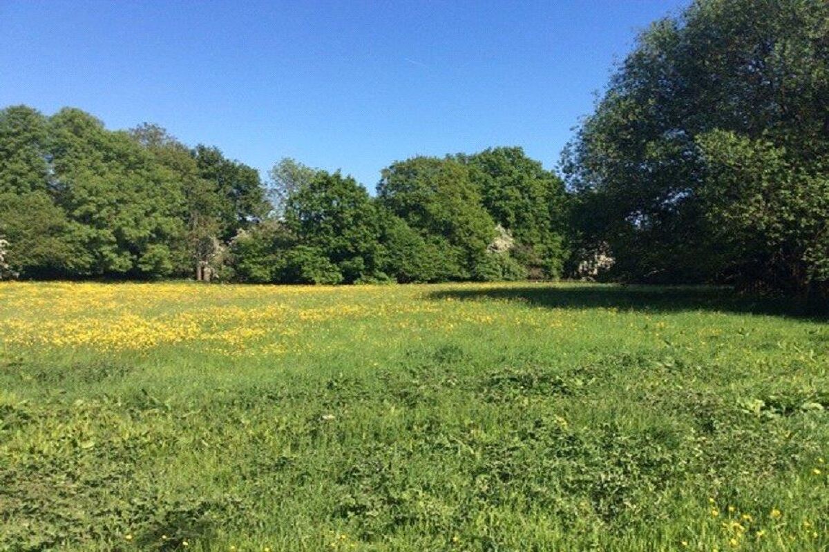 house for sale in Row Dow Lane, Otford, Sevenoaks, Kent, TN14