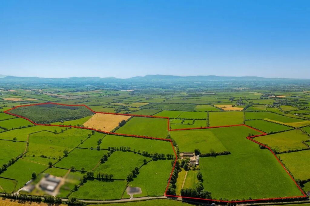Image of Ballynamuddagh House & Farm, Approx. 62.9 Ha (155.4 Acres), Dromin, Kilmallock, County Limerick, V35KW95