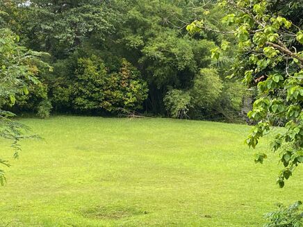 Picture of Land for sale.