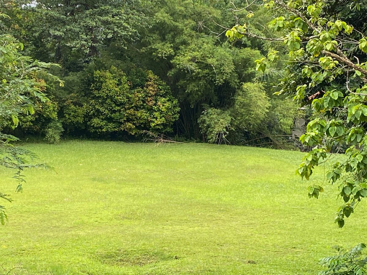 Land for sale in Holland Rise SGCHollandRiseLand Knight Frank