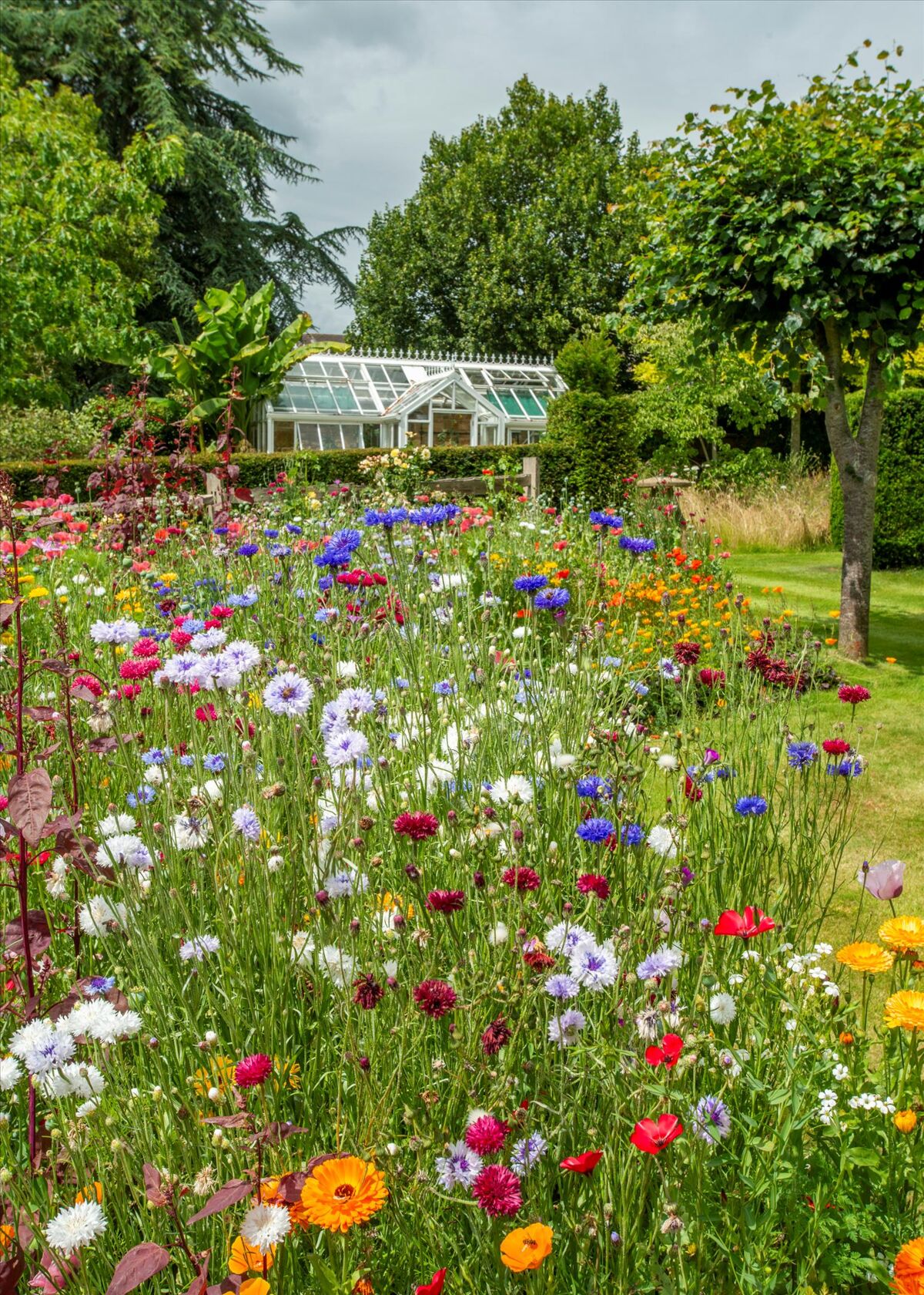 house for sale in Phoenix House,Hinton St. Somerset, TA17