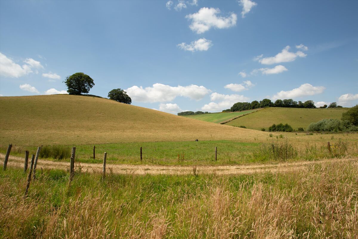 house for sale in Bruton, Somerset, BA10 SHE012174407 Knight Frank