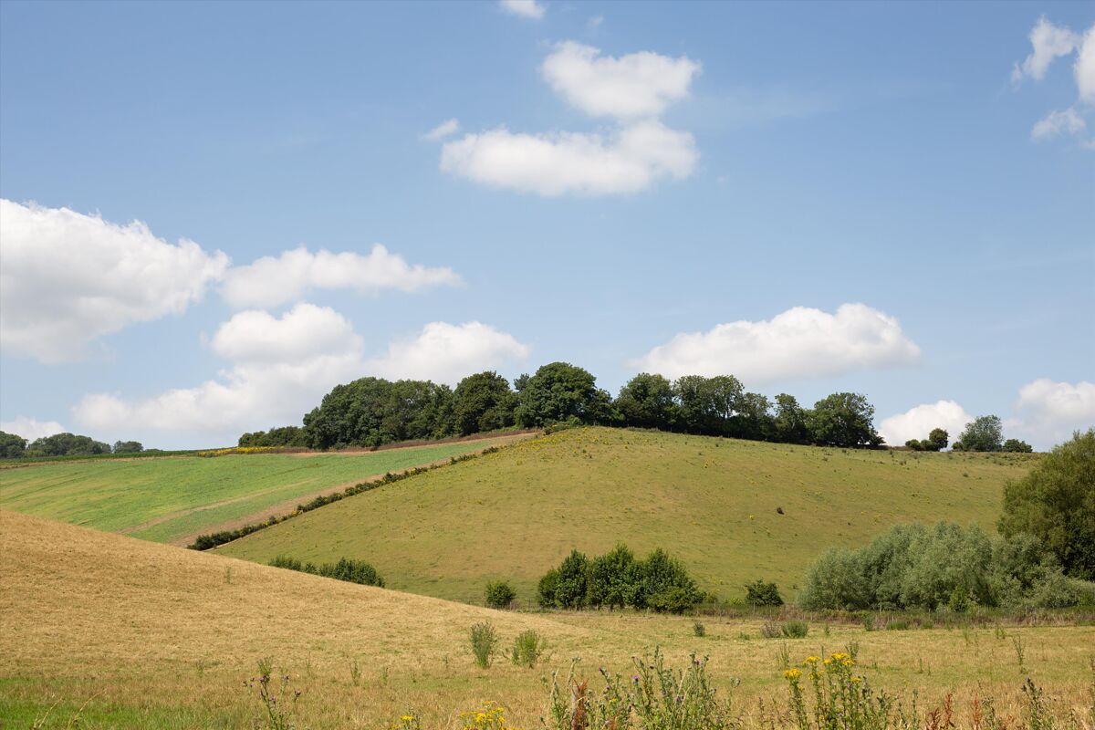 house for sale in Bruton, Somerset, BA10 SHE012174407 Knight Frank