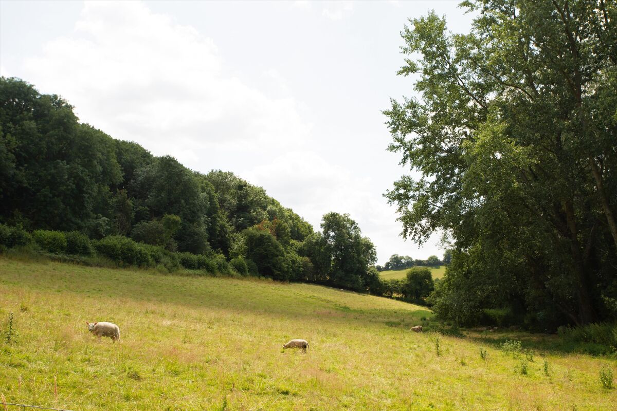 house for sale in Bruton, Somerset, BA10 SHE012174407 Knight Frank