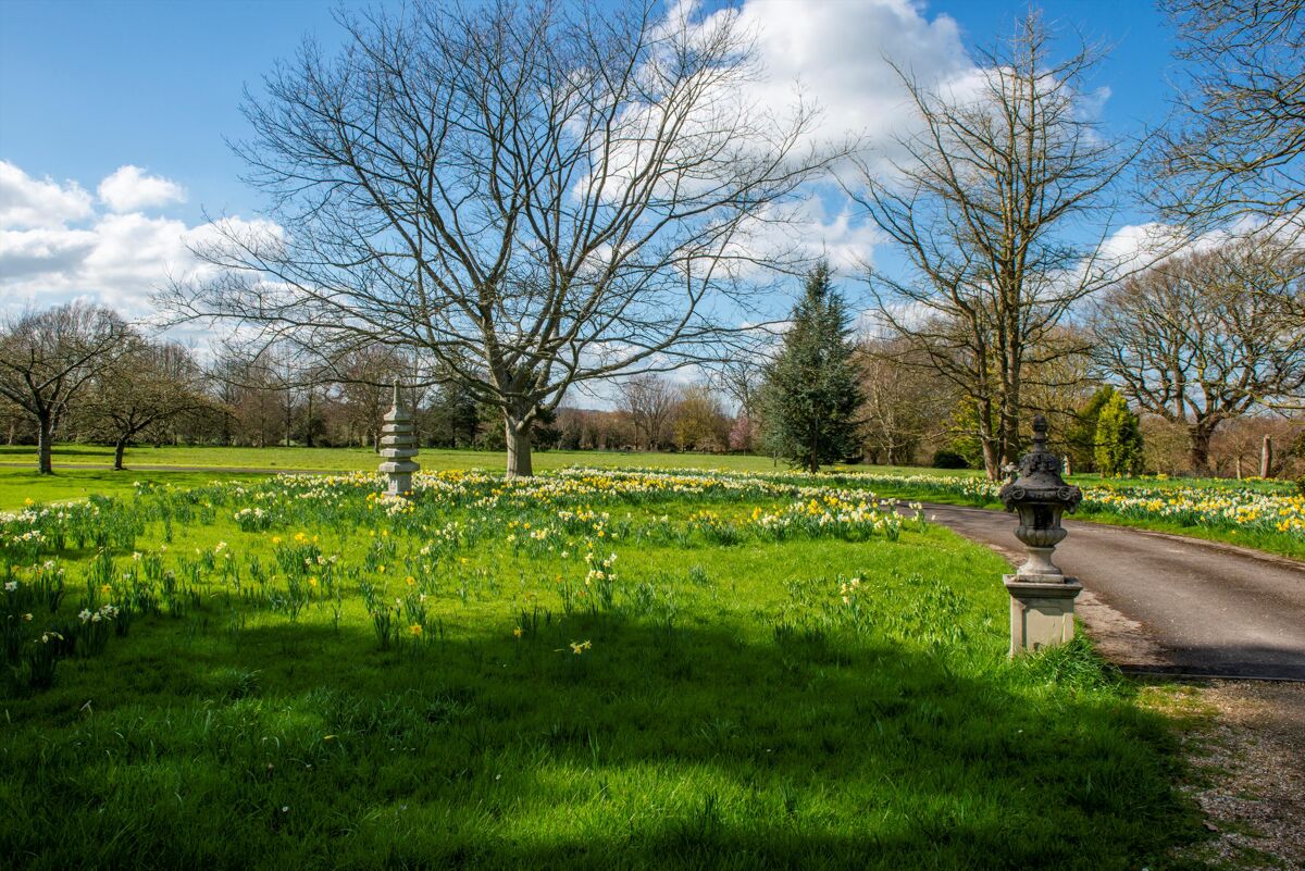 house for sale in Chiselborough House, Chiselborough , Stoke Sub Hamdon, Somerset SHE012177984