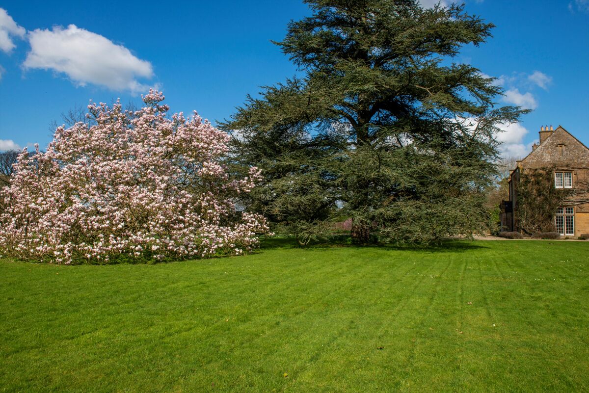 house for sale in Chiselborough House, Chiselborough , Stoke Sub Hamdon