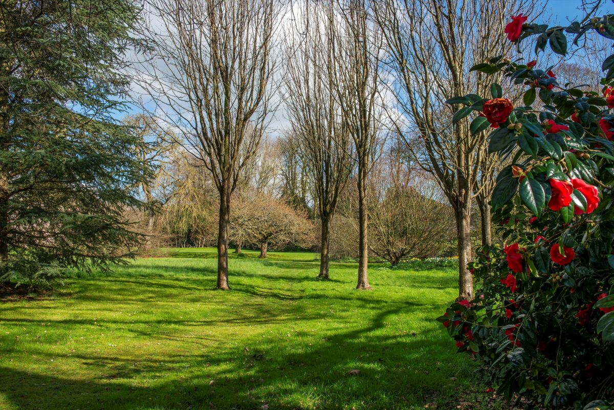 house for sale in Chiselborough House, Chiselborough , Stoke Sub Hamdon, Somerset SHE012177984