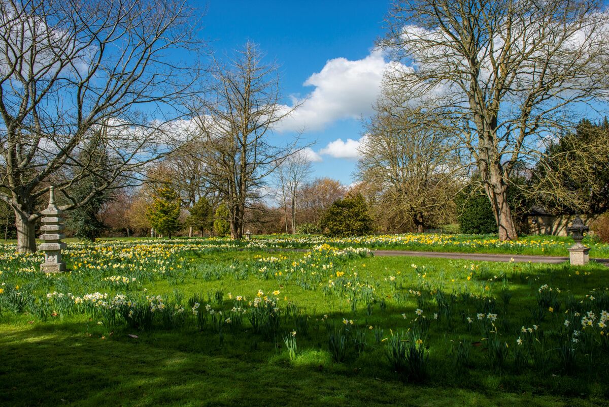 house for sale in Chiselborough House, Chiselborough , Stoke Sub Hamdon, Somerset SHE012177984