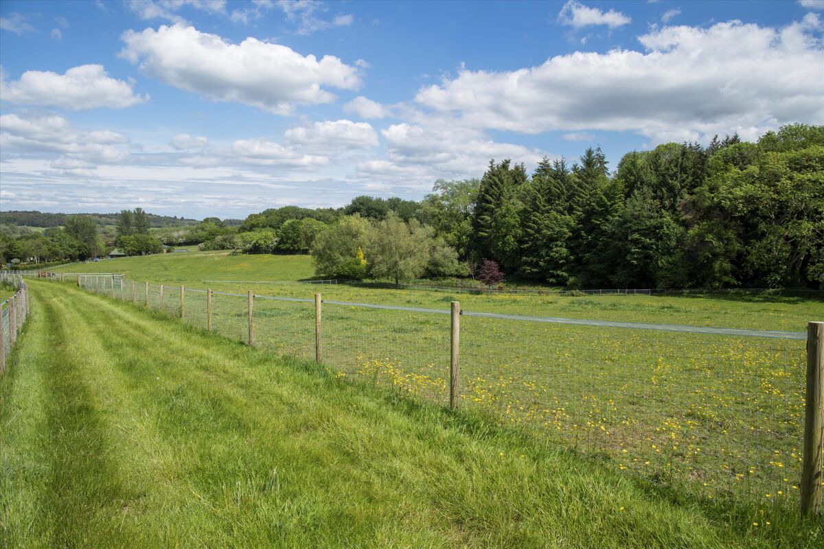 Blackdown House is a substantial country house, in a wonderful position