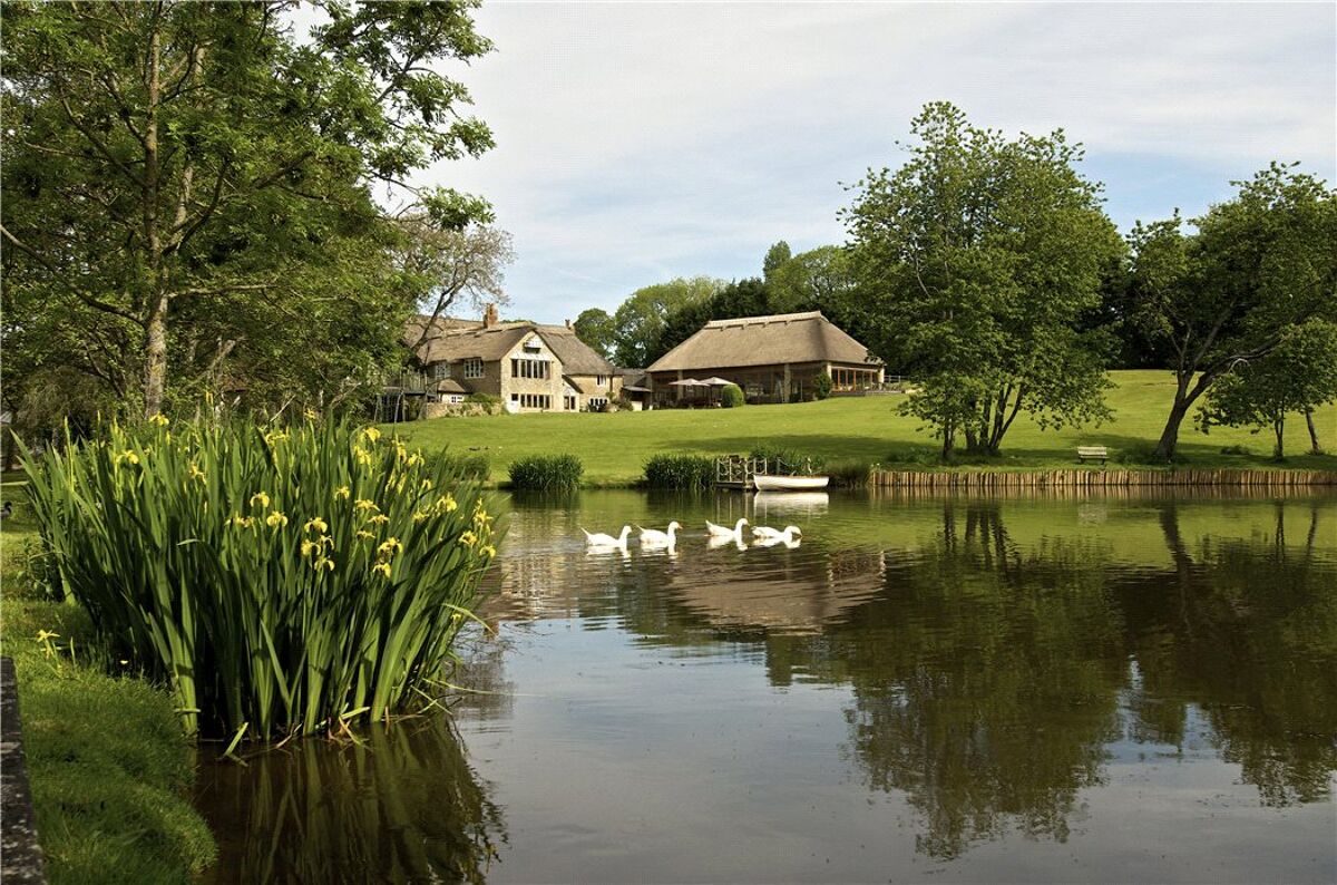 house for sale in Drimpton Road, Broadwindsor, Beaminster, Dorset, DT8