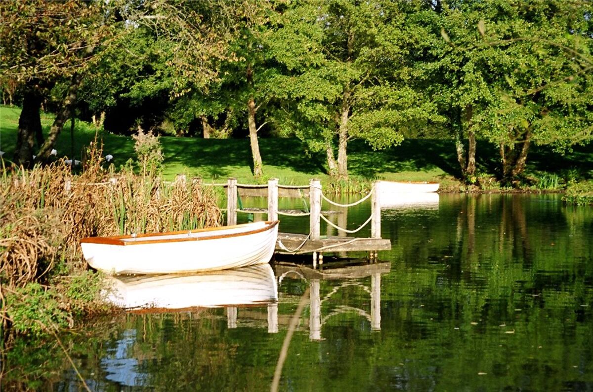 house for sale in Drimpton Road, Broadwindsor, Beaminster, Dorset, DT8