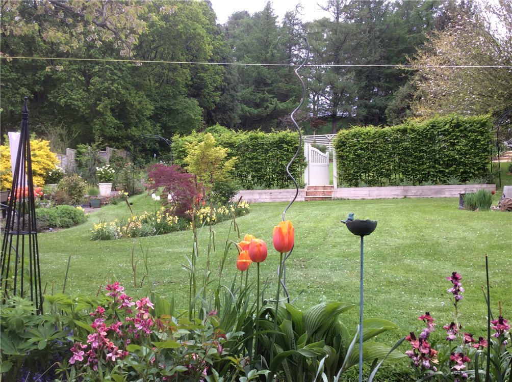 house for sale in Fir Trees, Nether Compton, Sherborne, Dorset, DT9 SHE130166 Knight Frank