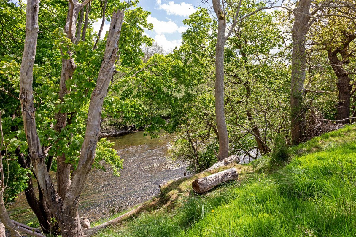 house for sale in Middle Scafell, Milford Road, Newtown, Powys, SY16