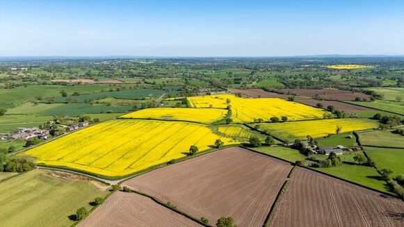 Picture of 4 bedroom farm/estate for sale.