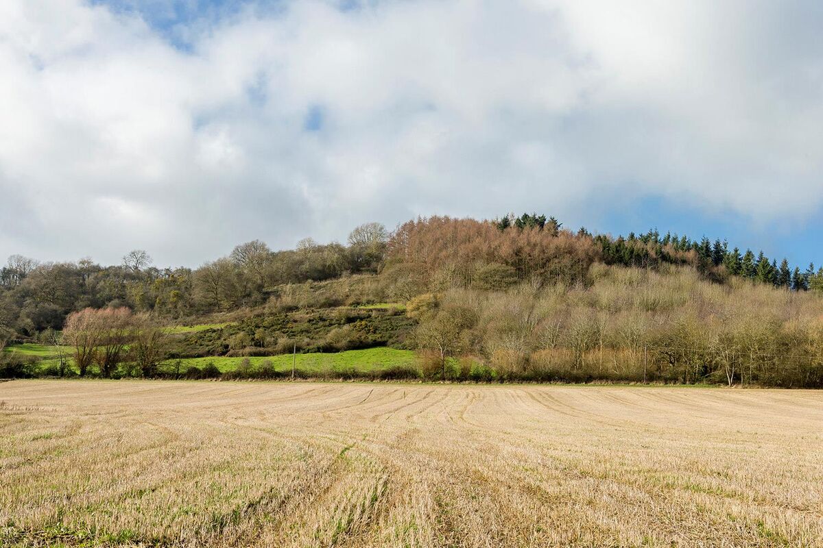 house for sale in Elmley Road, AshtonunderHill, Evesham, Worcestershire, WR11 SNH190088