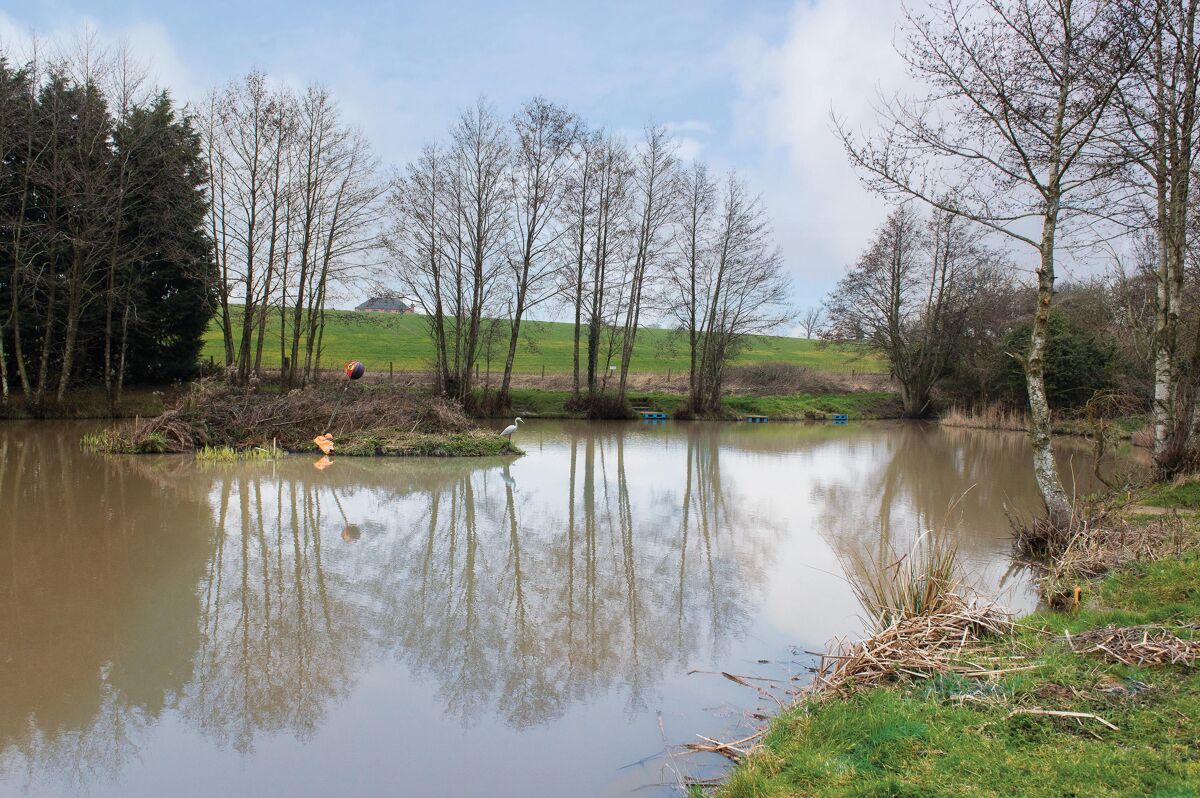 house for sale in Ansley, Nuneaton, Warwickshire, CV10 STR012144861 Knight Frank