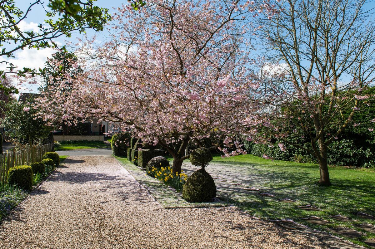 bungalow for sale in Clifford Chambers, StratforduponAvon