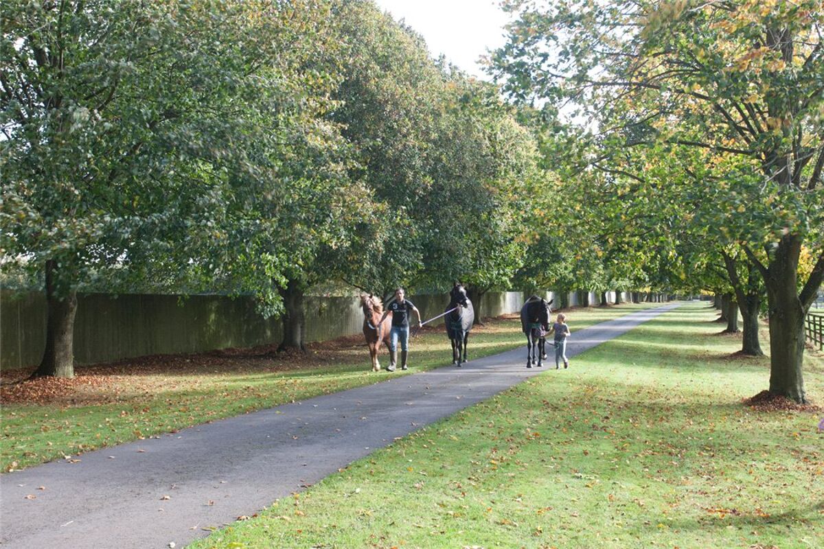 house for sale in Fosse Way, Moreton Morrell, Warwick, Warwickshire, CV35 STR140308 Knight Frank