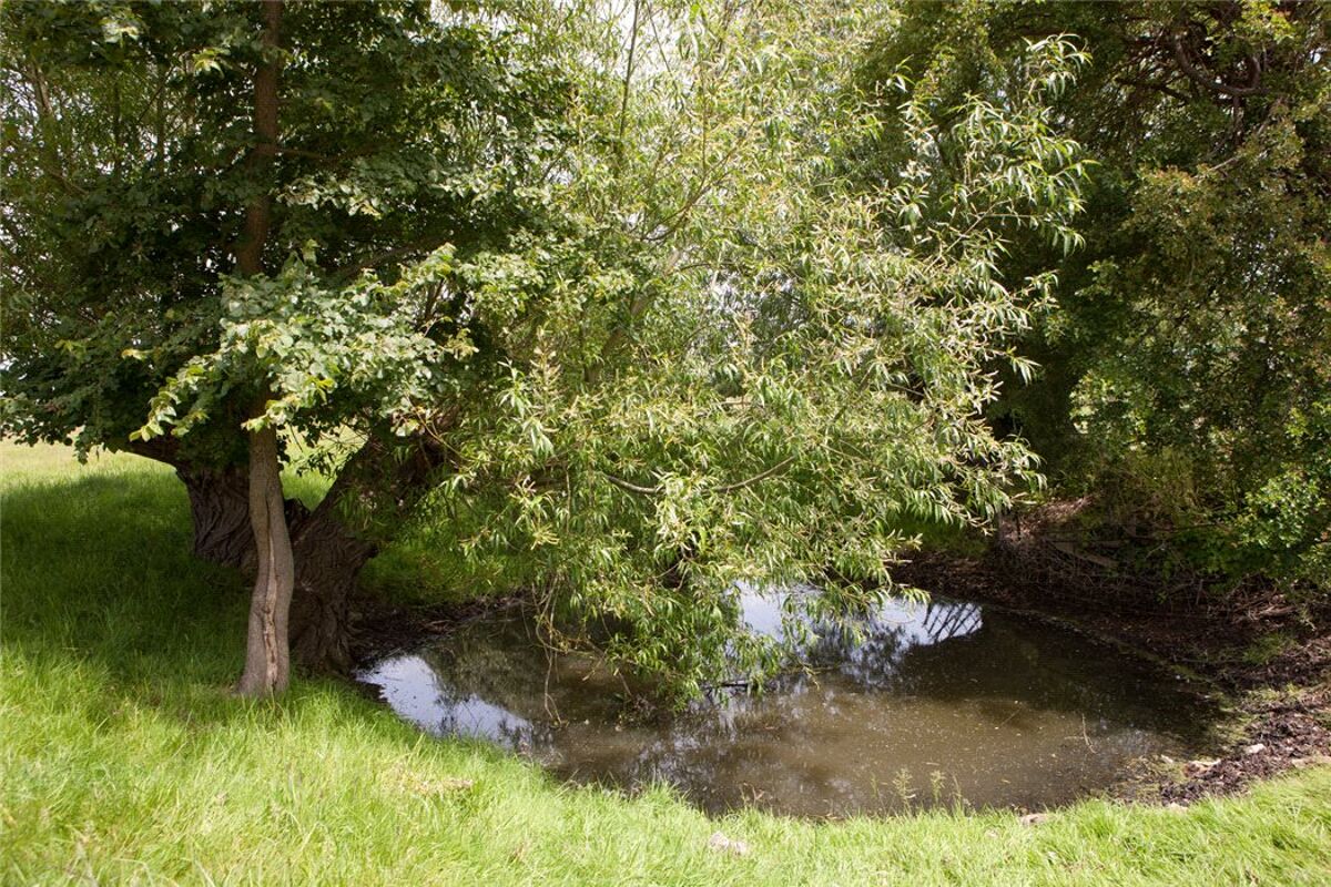 house for sale in Meon Hill, Lower Quinton, StratforduponAvon