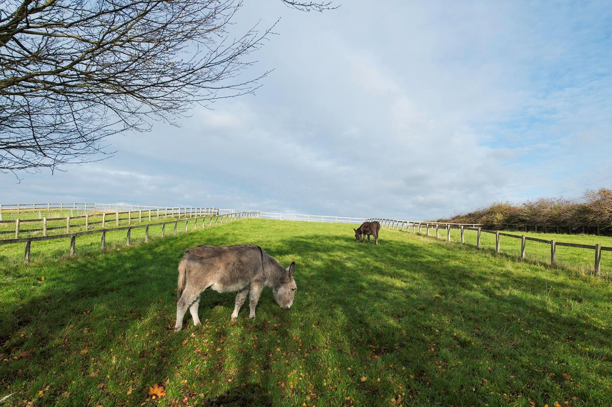 house for sale in Morton Bagot, Studley, Warwickshire, B80 STR160018