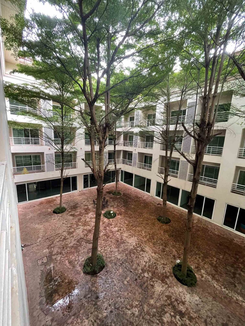 Image of Investment opportunity in the heart of Hi-Tech Industrial Estate. Well-maintained apartment building is up for sale and is open to both Thai and foreign investors. Strategically located near major ind