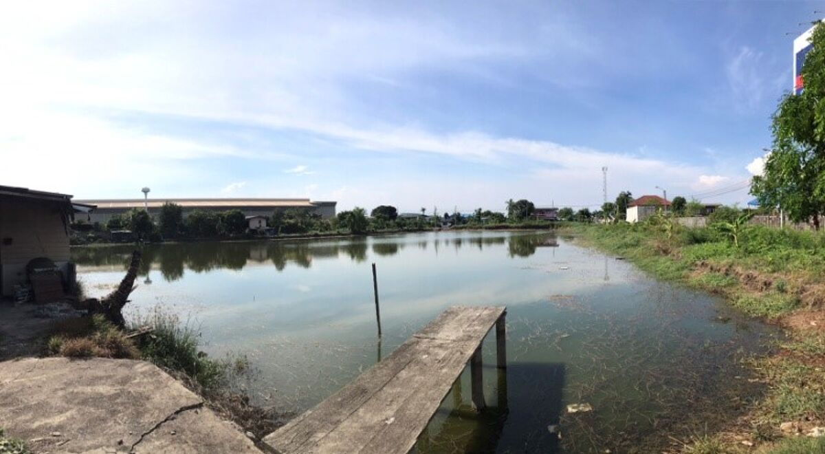 Pand Te Huur Bangna Trad Road KM 24 Out bound Samut Prakan 