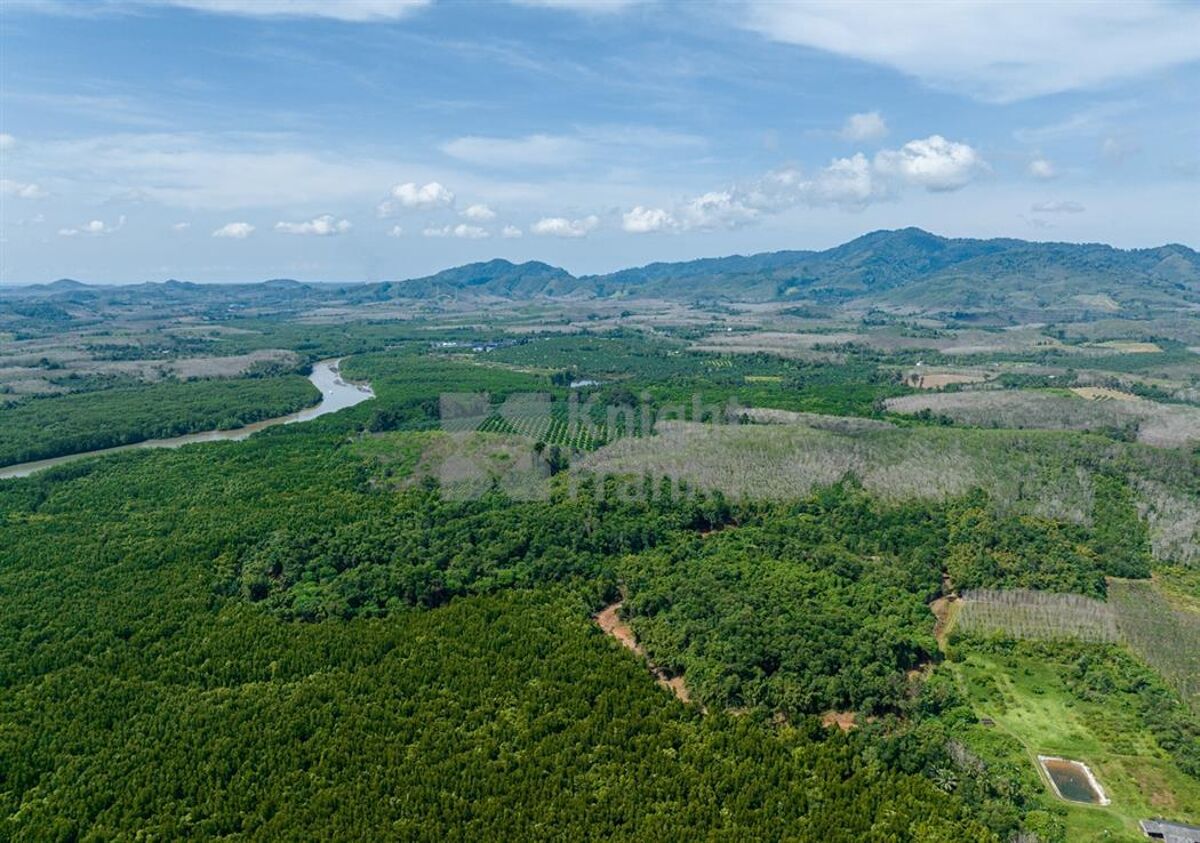 Land for sale in Samchong PhangNga Just 10 min to Phuket Island