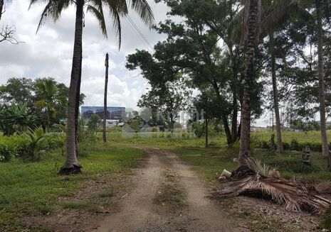 Picture of Land for sale.