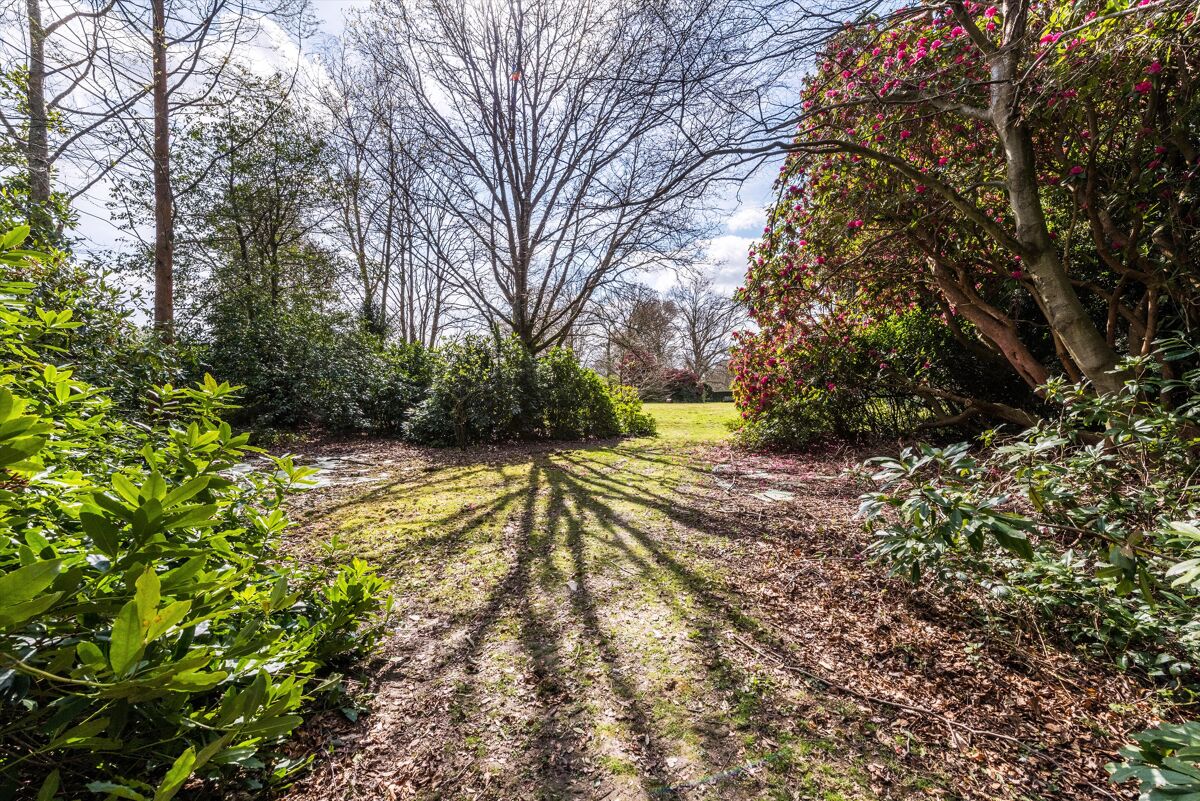 house for sale in Burwash, East Sussex, TN19 TNW012073068 Knight Frank