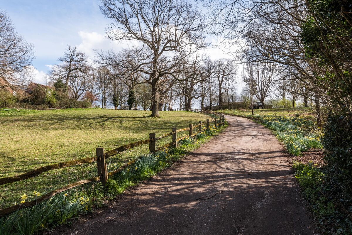 house for sale in Burwash, East Sussex, TN19 TNW012073068 Knight Frank