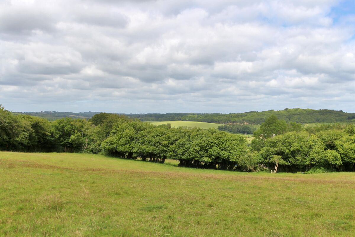 house for sale in Witherenden Hill, Burwash, Etchingham, East Sussex