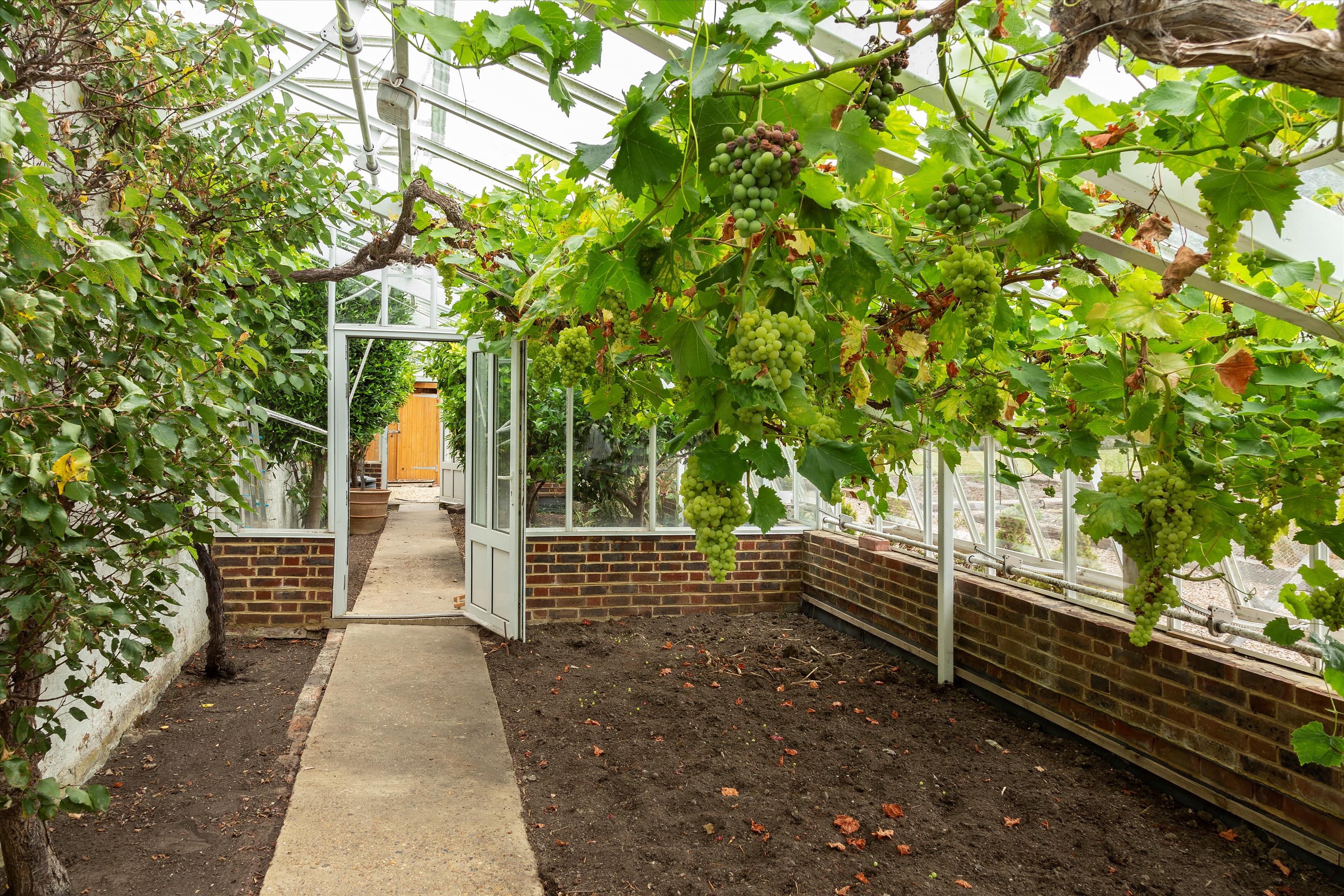 19.47 acres, Ashurst Wood, East Grinstead, East Sussex, RH19, West Sussex